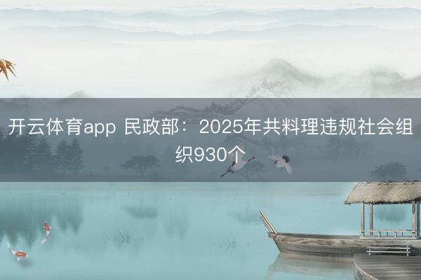 开云体育app 民政部:2025年共料理违规社会组织930个