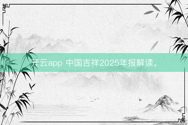开云app 中国吉祥2025年报解读。