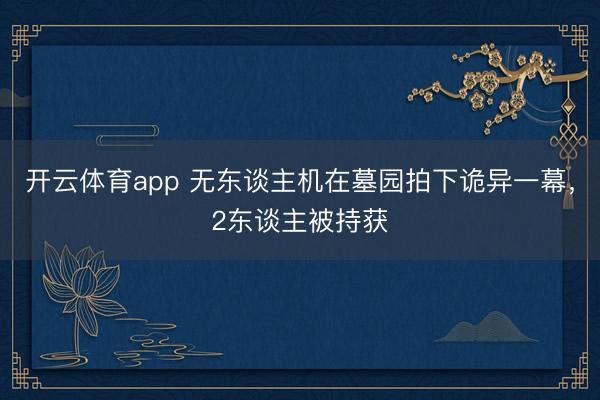 开云体育app 无东谈主机在墓园拍下诡异一幕，2东谈主被持获
