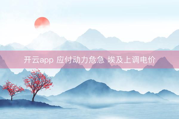 开云app 应付动力危急 埃及上调电价