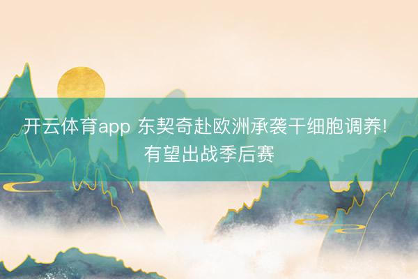 开云体育app 东契奇赴欧洲承袭干细胞调养! 有望出战季后赛