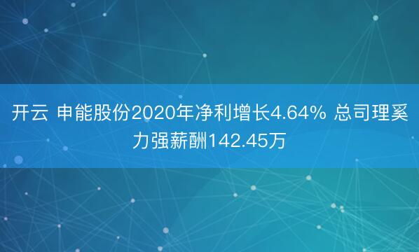 开云 申能股份2020年净利增长4.64% 总司理奚力强薪酬142.45万