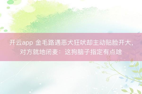 开云app 金毛路遇恶犬狂吠却主动贴脸开大，对方就地闭麦：这狗脑子指定有点啥