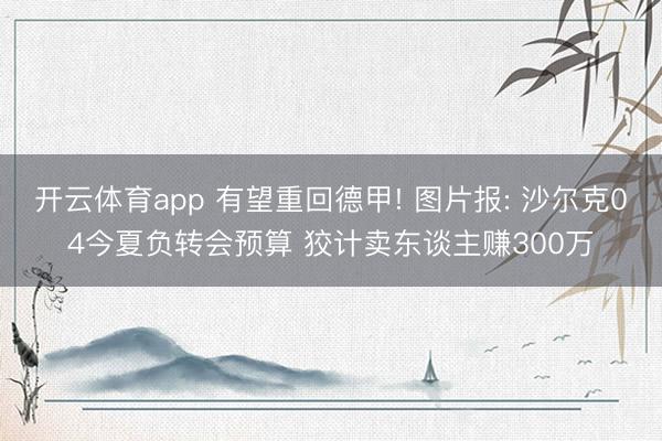 开云体育app 有望重回德甲! 图片报: 沙尔克04今夏负转会预算 狡计卖东谈主赚300万