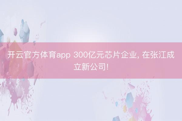 开云官方体育app 300亿元芯片企业， 在张江成立新公司!