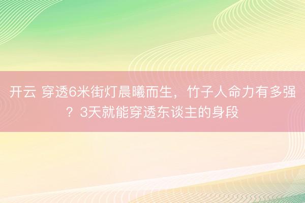 开云 穿透6米街灯晨曦而生，竹子人命力有多强？3天就能穿透东谈主的身段