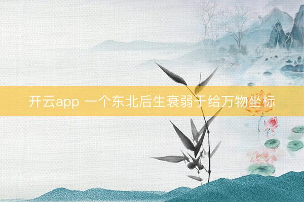 开云app 一个东北后生衰弱于给万物坐标